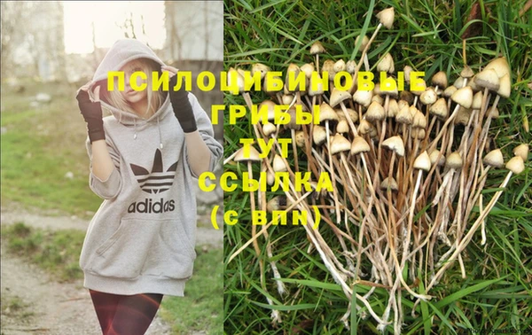 MDMA Premium VHQ Нефтегорск