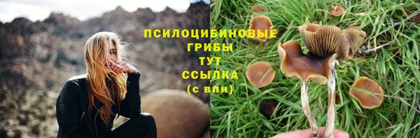 не бодяженный Нея