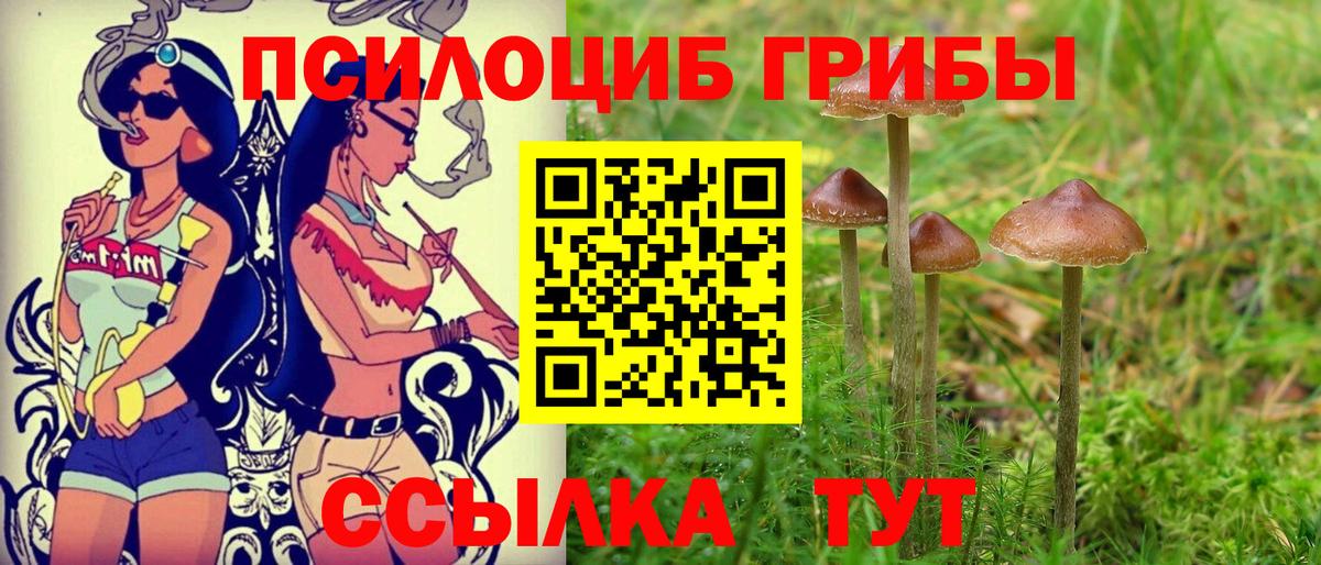 Галлюциногенные грибы Psilocybine cubensis  Вход с VPN  Полевской 